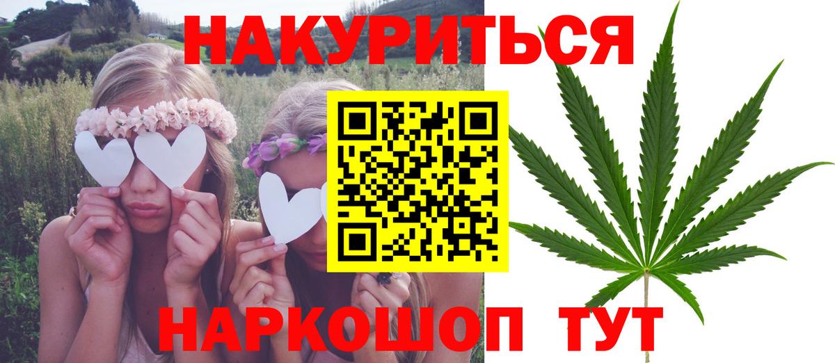 Конопля сатива Томск